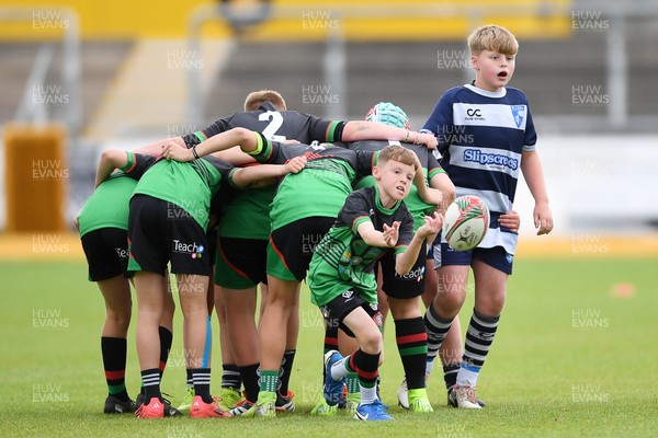 210525 - Rhymney Valley and Caerphilly District v Pembs Schools  - WSRU Junior Group - U11s DC Thomas Bowl Final - Marley White of Rhymney Valley and Caerphilly District