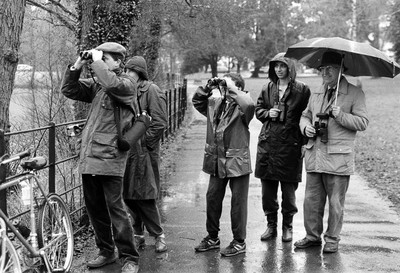 Roath Park Twitchers 060190