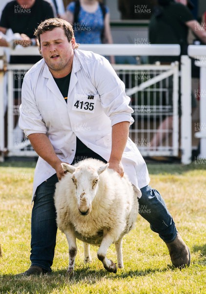 180722 - Picture shows action from the first day of the Royal Welsh Show, in Builth Wells The first time since 2019 the event has taken place The event has to contend with the extreme heatwave currently taking a grip of the country,