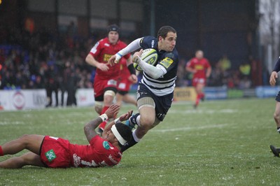 Sale v Scarlets 040212