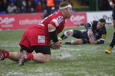 04.02.12 - Sale Sharks v Scarlets - LV= Cup.Scarlets' Peter Edwards celebrates scoring his try..