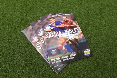 Samoa v Wales 230617