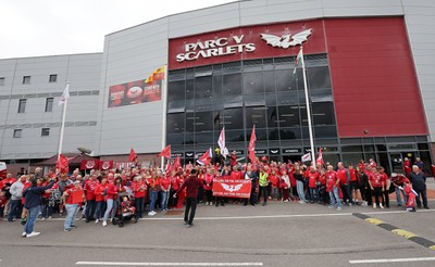 270925 - Scarlets Fans Protest - Scarlets fans march through Llanelli in protest against the Welsh Rugby Union’ s protective plan to get rid of possibly two of the Welsh rugby regions The march finished at Parc y Scarlets ahead of the Scarlets v Munster, United Rugby Championship match