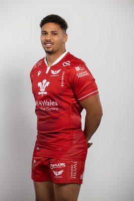 150921 - Scarlets Rugby Squad Headshots - Dan Davis