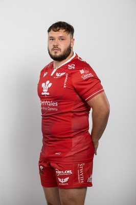 150921 - Scarlets Rugby Squad Headshots - Harri O�Connor