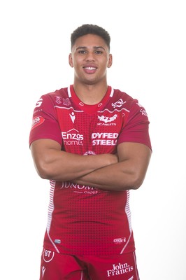 130819 - Scarlets Rugby Squad - Dan Davis