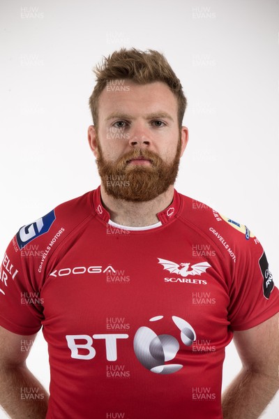 110816 - Scarlets Squad Portraits 2016-17 Season - Tom Phillips