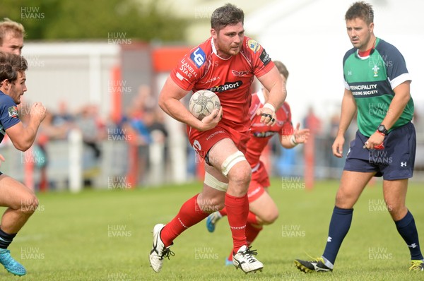 290815 Scarlets v Bedford Pre Season FriendlyRob McCusker on the attack for Scarlets