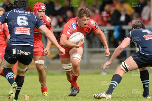 290815 Scarlets v Bedford Pre Season FriendlyJosh Helps attacks the Bedford defence