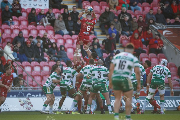 230324 - Scarlets v Benetton - United Rugby Championship - Teddy Leatherbarrow of Scarlets wins a lineout