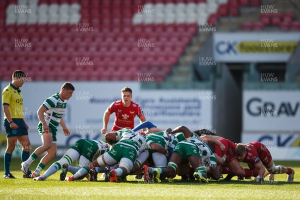 230324 - Scarlets v Benetton - United Rugby Championship - General view of a scrum