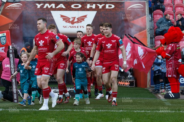 230324 - Scarlets v Benetton - United Rugby Championship - Gareth Davies of Scarlets leads the Scarlets team out