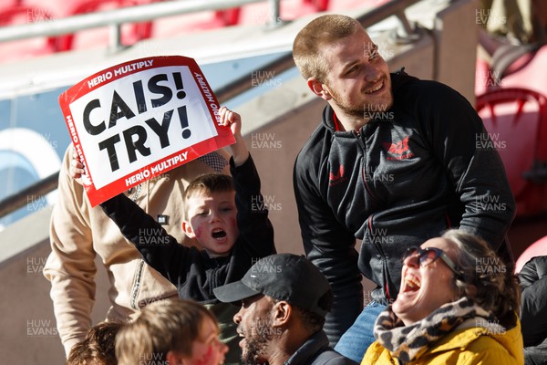 230324 - Scarlets v Benetton - United Rugby Championship - A fan celebrates a try