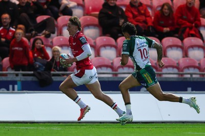 101026 - Scarlets v Benetton Rugby - United Rugby Championship - Ellis Mee of Scarlets is chased by Jacob Umaga of Benetton on the way to scoring his first try