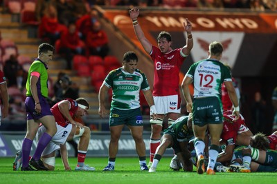 101026 - Scarlets v Benetton Rugby - United Rugby Championship - Alex Groves of Scarlets appeals to the referee
