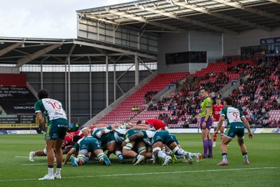 101026 - Scarlets v Benetton Rugby - United Rugby Championship - Dane Blacker of Scarlets feeds a scrum