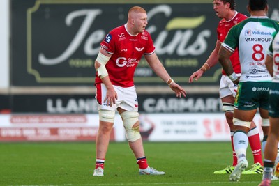 101026 - Scarlets v Benetton Rugby - United Rugby Championship - Will Evans of Scarlets