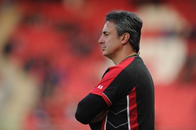 17.04.10 - Scarlets v Cardiff Blues - Magners League - Head Coach Nigel Davies looks on. 