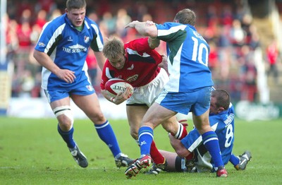 Scarlets v Borders 011103