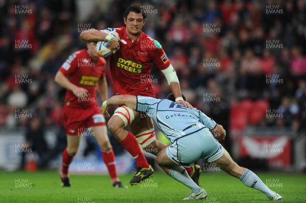 050512 - Scarlets v Cardiff Blues - RaboDirect PRO12 -Aaron Shingler of Scarlets takes on Dafydd Hewitt of Cardiff Blues