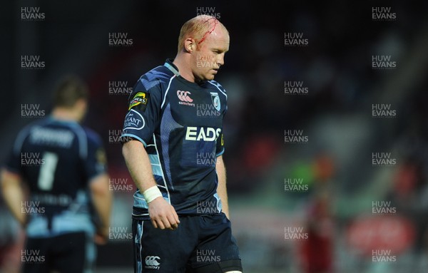 06.05.11 - Scarlets v Cardiff Blues - Magners League - Martyn Williams of Cardiff Blues looks dejected. 