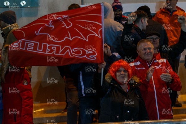 020422 - Scarlets v Cardiff Rugby - United Rugby Championship - Scarlets fans