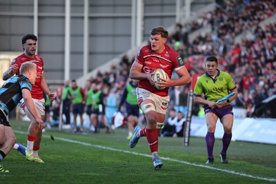 180426 - Scarlets v Cardiff Rugby - United Rugby Championship - Taine Plumtree of Scarlets races toward the Cardiff line