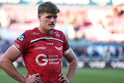 180426 - Scarlets v Cardiff Rugby - United Rugby Championship - Taine Plumtree of Scarlets dejected at the final whistle