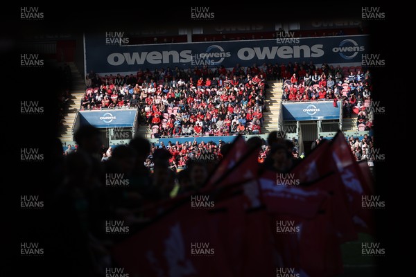 180426 - Scarlets v Cardiff Rugby - United Rugby Championship - Fans
