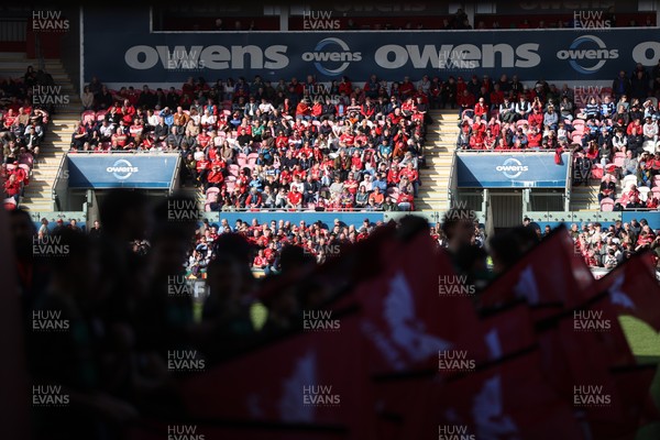 180426 - Scarlets v Cardiff Rugby - United Rugby Championship - Fans