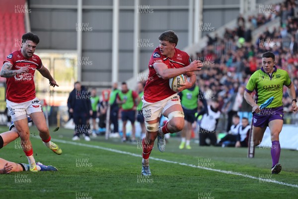 180426 - Scarlets v Cardiff Rugby - United Rugby Championship - Taine Plumtree of Scarlets races toward the Cardiff line