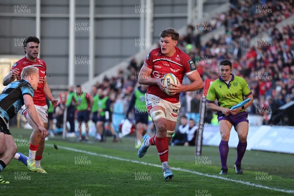 180426 - Scarlets v Cardiff Rugby - United Rugby Championship - Taine Plumtree of Scarlets races toward the Cardiff line