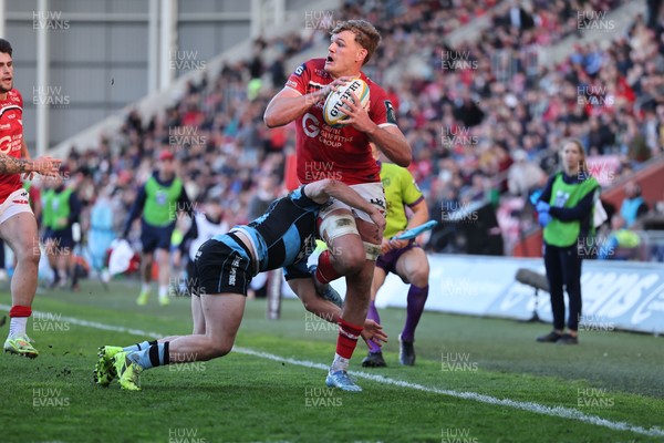 180426 - Scarlets v Cardiff Rugby - United Rugby Championship - Taine Plumtree of Scarlets races toward the Cardiff line