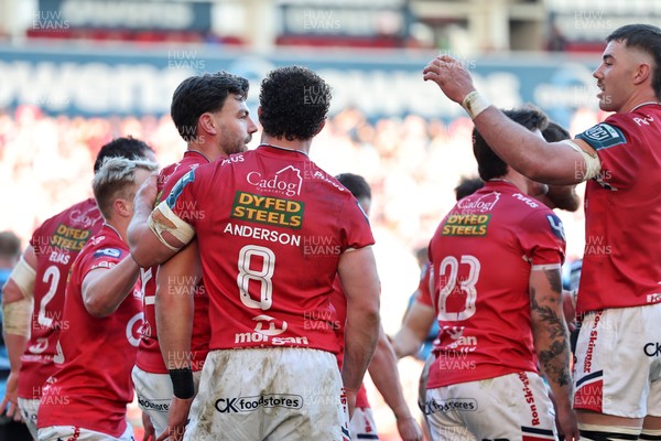 180426 - Scarlets v Cardiff Rugby - United Rugby Championship - Johnny Williams of Scarlets celebrates his try with Max Douglas 