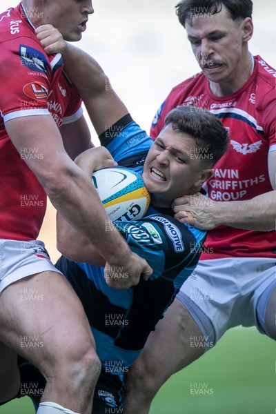 180426 - Scarlets v Cardiff Rugby - United Rugby Championship - Callum Sheedy of Cardiff Rugby wrestles with Jarrod Taylor and Tom Rogers of Scarlets