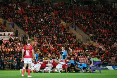 260926 - Scarlets v Cardiff Rugby - United Rugby Championship - The crowd watches the action