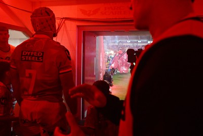 260926 - Scarlets v Cardiff Rugby - United Rugby Championship - Players run out the tunnel before the match