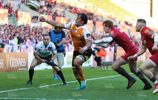 050518 - Scarlets v Cheetahs, Guinness PRO14 - Henco Venter of Cheetahs fails to reach the ball as he looks to crossing the corner