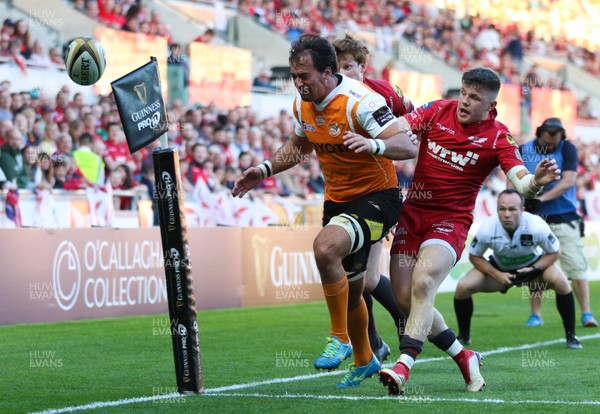 050518 - Scarlets v Cheetahs, Guinness PRO14 - Henco Venter of Cheetahs fails to reach the ball as he looks to crossing the corner