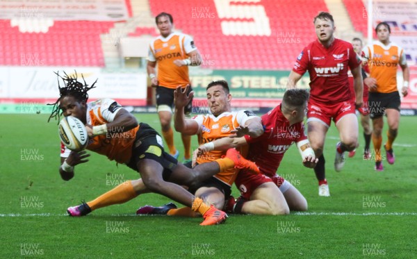 050518 - Scarlets v Cheetahs, Guinness PRO14 - Sibahle Maxwane of Cheetahs loses the ball as he dives across the try line