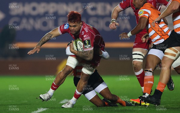 130123 - Scarlets v Toyota Cheetahs, ECPR Challenge Cup - Vaea Fifita of Scarlets is held by Munier Hartzenberg of Cheetahs