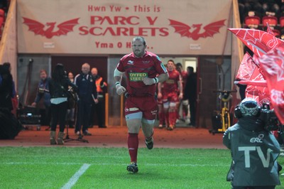 Scarlets v Clermont Auvergne 190113