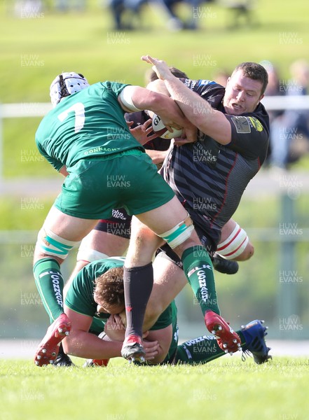 290918 - Scarlets A v Connacht Eagles, Celtic Cup, Carmarthen - Berian Watkins of Scarlets crashes into the Connacht eagles defence