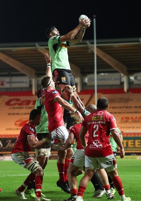 101025 - Scarlets v DHL Stormers, United Rugby Championship -Ruben van Heerden of Stormers wins line out