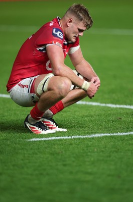 101025 - Scarlets v DHL Stormers, United Rugby Championship - Taine Plumtree of Scarlets at the end of the match