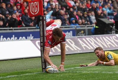 160526 - Scarlets v Dragons RFC, United Rugby Championship - Taine Plumtree of Scarlets dives in to score the opening try