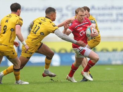 160526 - Scarlets v Dragons RFC, United Rugby Championship - Blair Murray of Scarlets takes on Rio Dyer of Dragons