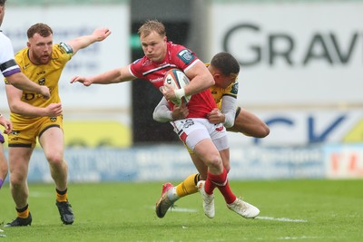 160526 - Scarlets v Dragons RFC, United Rugby Championship - Blair Murray of Scarlets takes on Rio Dyer of Dragons