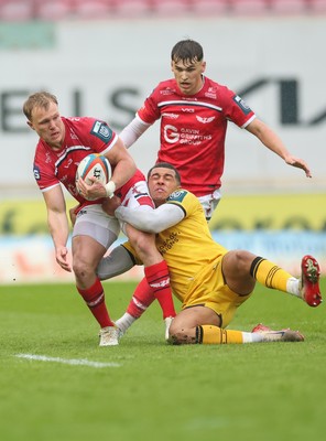 160526 - Scarlets v Dragons RFC, United Rugby Championship - Blair Murray of Scarlets takes on Rio Dyer of Dragons
