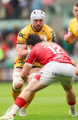 160526 - Scarlets v Dragons RFC, United Rugby Championship - Harrison Keddie of Dragons takes on Joe Roberts of Scarlets and Josh Macleod of Scarlets